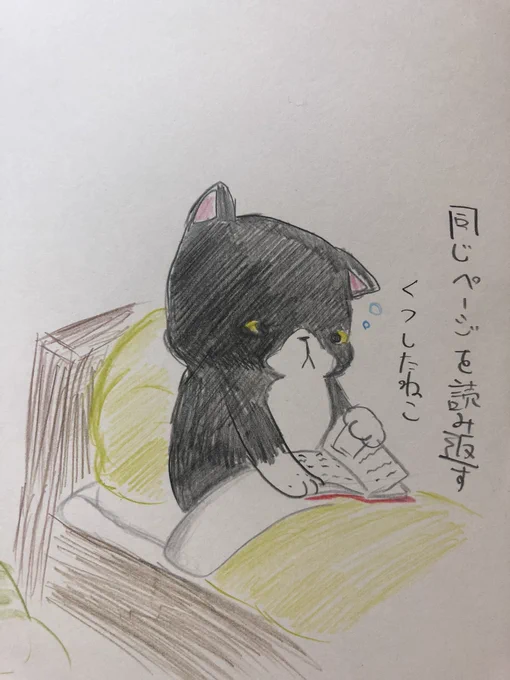 同じページを読み返すくつしたねこ 3/3
※以降2〜3繰り返し

#イラスト #猫
#色鉛筆 