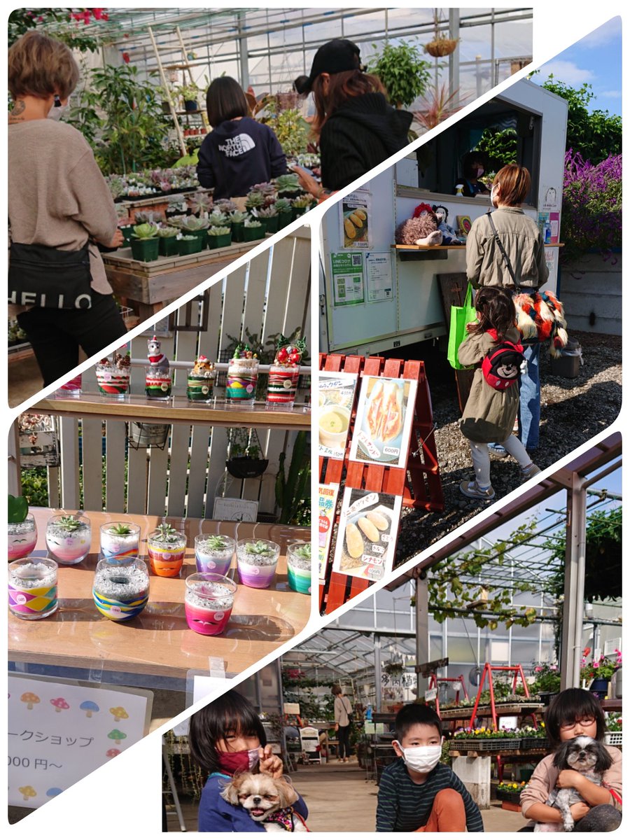 CocogardenK's tweet photo. 連投すみません😊
セールの日、第2弾📷🎵
#cocoガーデン
#キッチンカーemu
#サンドアート
#bloom_ai
#シーズー https://t.co/CpJGLPziJe