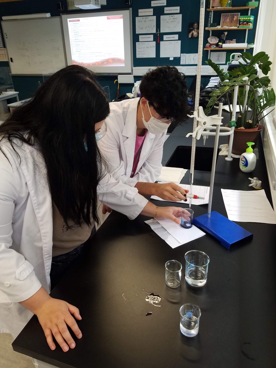 dbis_sci's tweet photo. Year 12 have been investigating whether the amount of Vitamin C is higher in fresh Orange juice or Juice made from concentrate #biology #VitC #SciEd https://t.co/rPVzBj7zm1