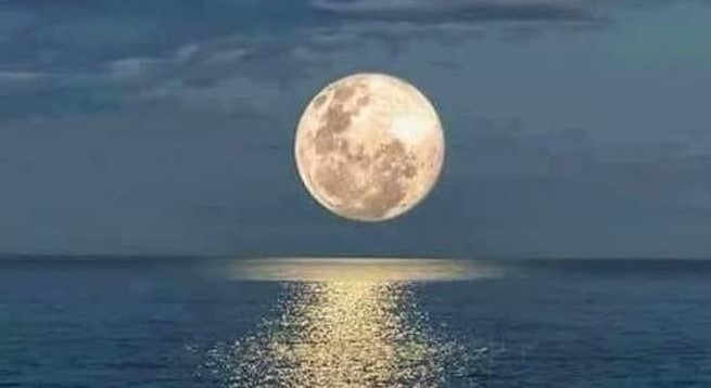 If we learn to open our hearts, 
anyone, including the people who drive us crazy, 
can be our teacher.

― Pema Chodron