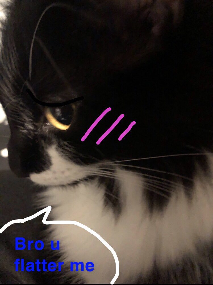 AudreyII5's tweet photo. Someone buy me photoshop ill make killer shit. Heres some stuff i made already with snapchat to help influence your decision https://t.co/AyRmEH4sNT