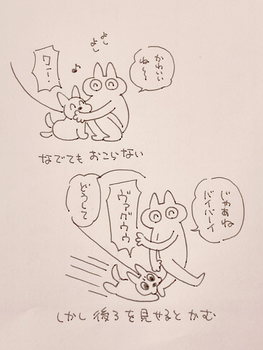 いぬのきもちさっぱりわかりません 