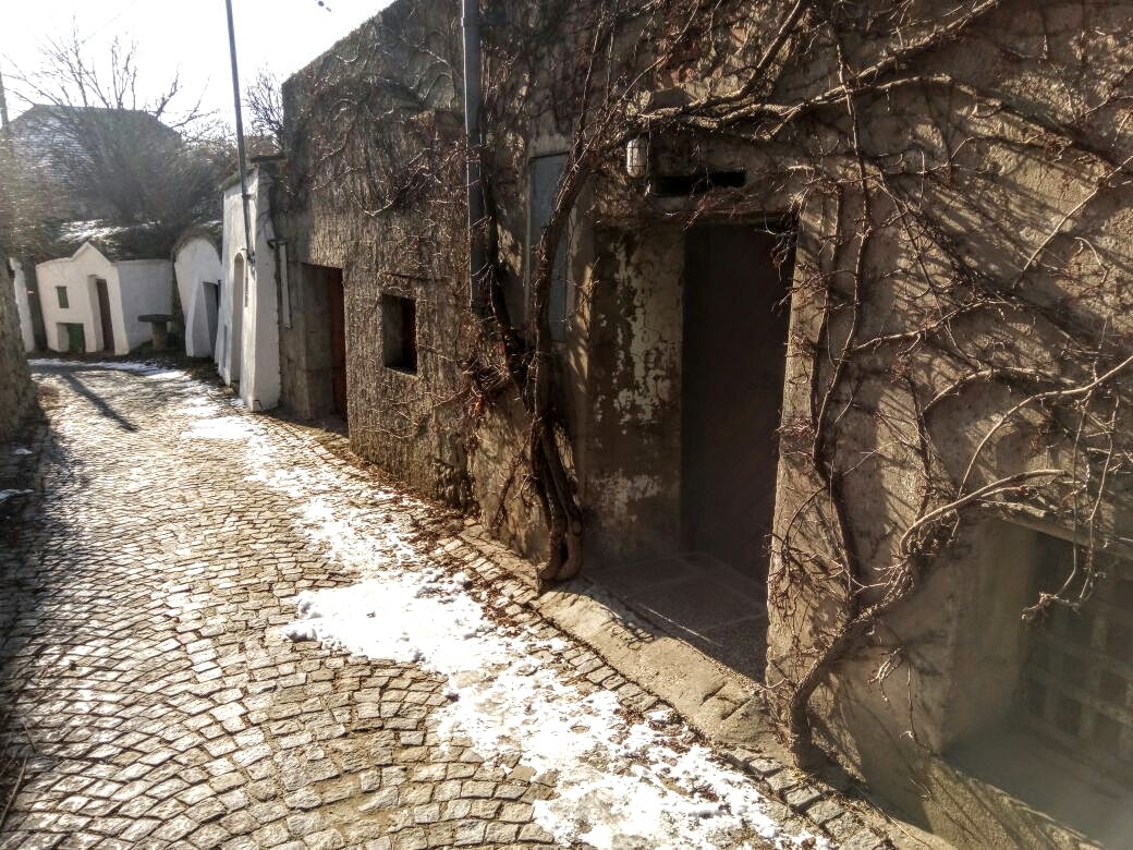 ConnectTravel6's tweet photo. Un día un amigo me regaló un par de fotos de su viaje a Austria. 
Disfrutar de una pequeña y simple caminata, puede traerte maravillosos momentos que se convertirán en increíbles experiencias. 
 #Travel #travelphotography #ExperienceAmazing https://t.co/7oi9fy1ZyL