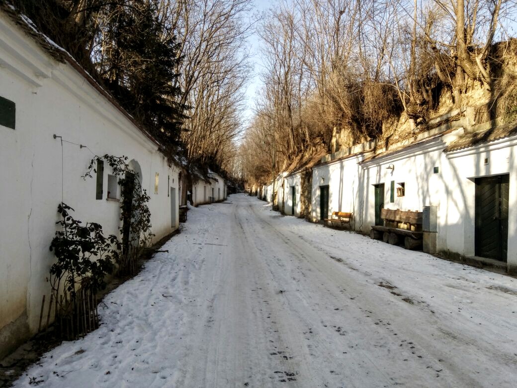 ConnectTravel6's tweet photo. Un día un amigo me regaló un par de fotos de su viaje a Austria. 
Disfrutar de una pequeña y simple caminata, puede traerte maravillosos momentos que se convertirán en increíbles experiencias. 
 #Travel #travelphotography #ExperienceAmazing https://t.co/7oi9fy1ZyL