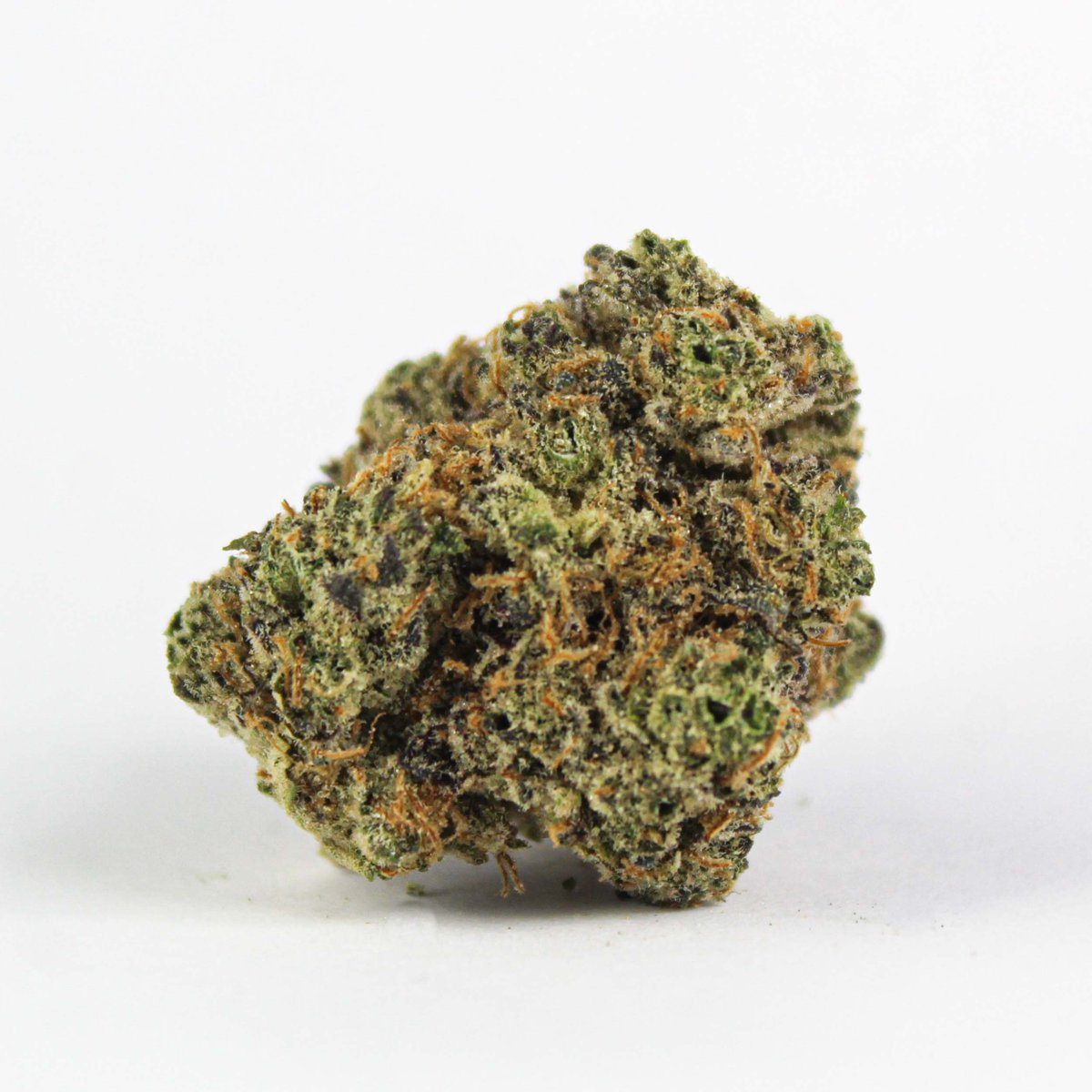 ascendretail's tweet photo. NEW AT MOCA! 💙 Named after Beyoncé and Jay-Z's child Blue Ivy, this hybrid's effects are clearly indica-dominant and of impressive potency, with blueberry undertones.
#AintOne now available at #MOCArivernorth (recreational only) and #MOCAogansquare (medical + recreational) https://t.co/tpiazhjPtN