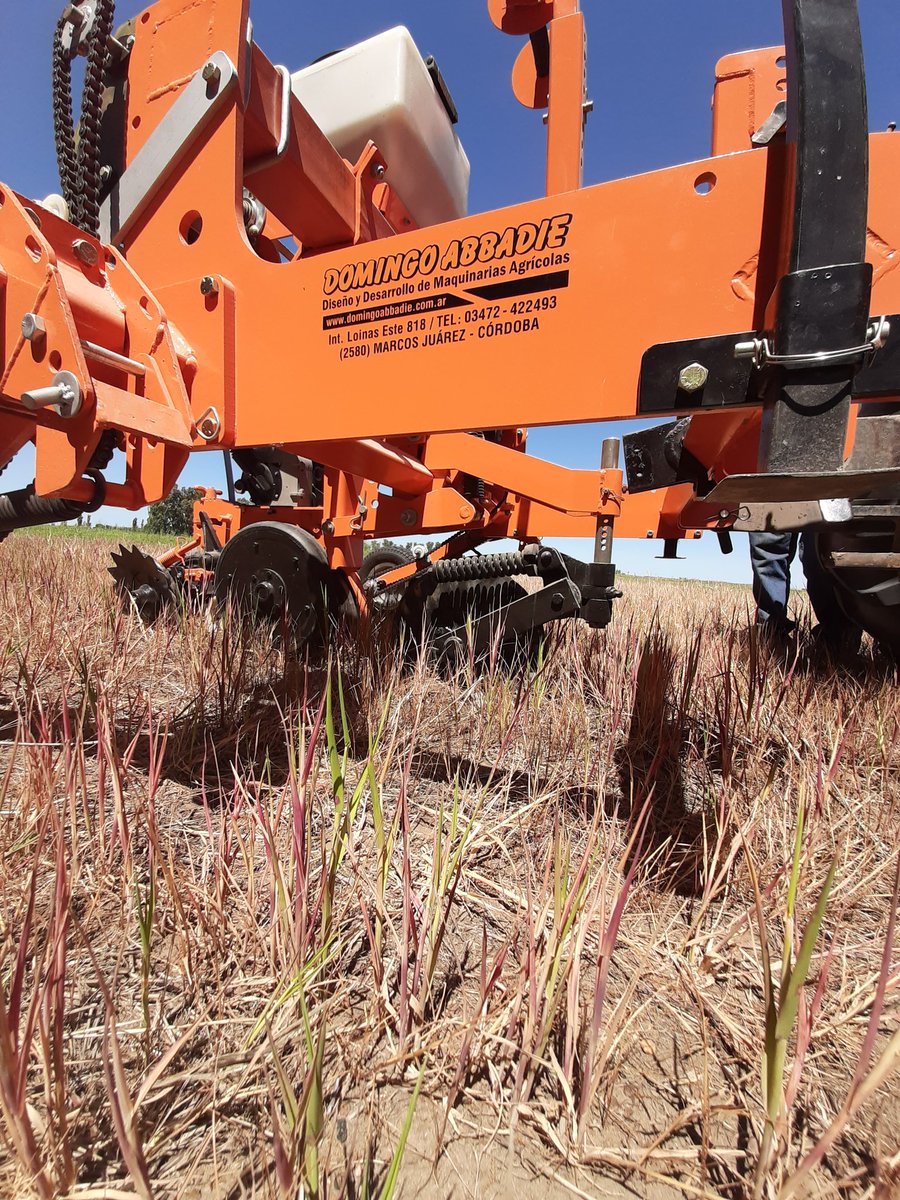 damicojp33's tweet photo. #SiembraDirecta de #Zapallo y #Sandía. Consolidando la #horticultura #conservacionista con esta #sembradora desarrollada específicamente para tal fin. Semilla, fertilizante y cinta de riego por goteo en una sola labor. #NoTillage #Hirticulture #INTAAscasubi https://t.co/BMbxLYR8TW