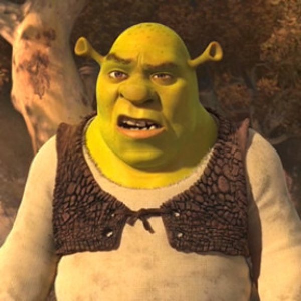 cara do shrek meme