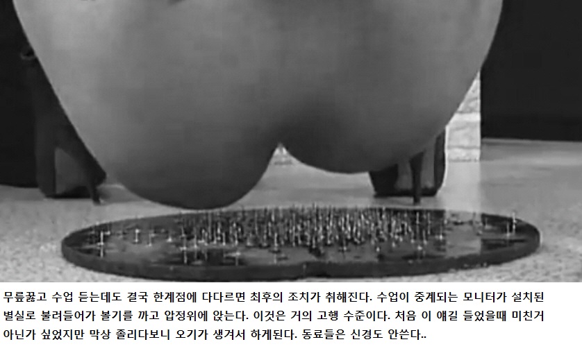 공무원시험대비 이 기숙학원은 체벌이 허용된다.특이한점은 원생 스스로 벌을 청한다는 것이다. 하루 네시간 수면에 
체력의 한계에 다다른 학생들은 수업중 쏟아지는 졸음을 
못견디겠으면 스스로 앞으로나가 매를 청한다.종아리던 볼기던 자기 선택이다. 매로 안되면 스스로 벌을서며 수업을 듣는다.