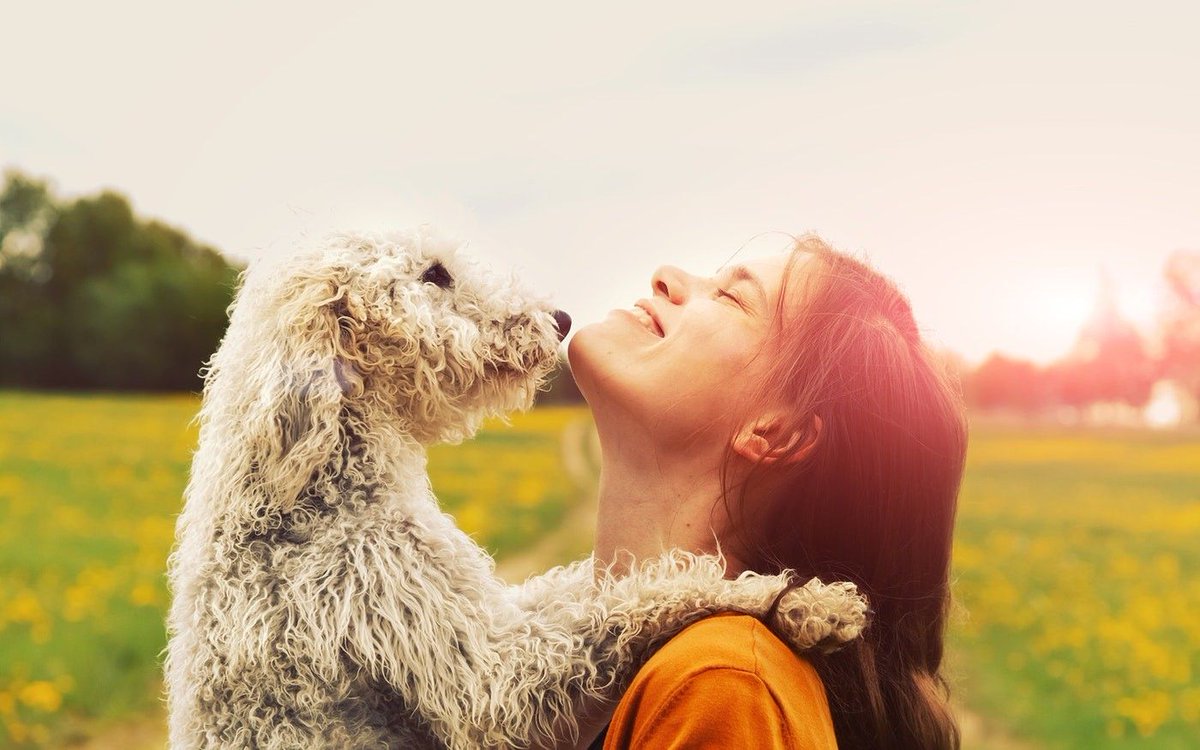 Quality of sleep is greatly improved by gratitude. Thinking for positive things before bedtime results in falling asleep more quickly. Find out more:

ed.gr/czbf7

#existtribe #healthtech #wellness #wellbeing #neuroscience #gratitude #happiness #yogapod #sleep #health