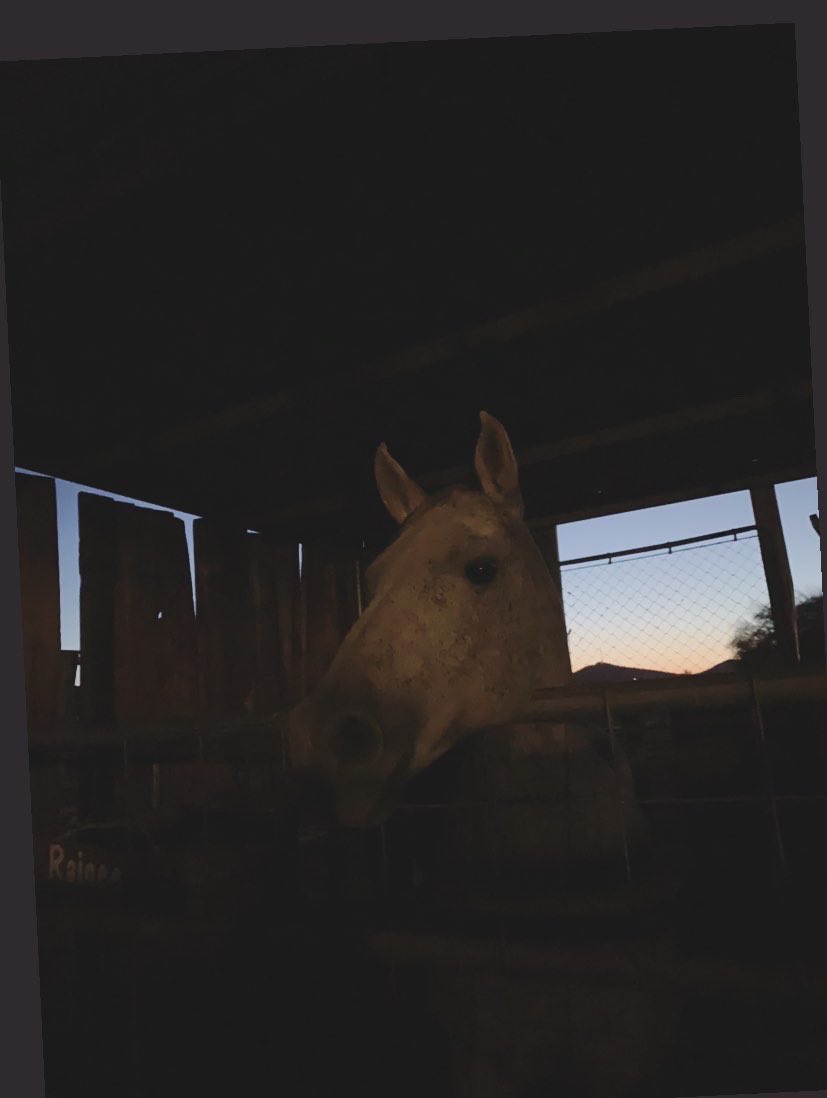 KempSiena's tweet photo. Got to see one of my students ride tonight, had an amazing conversation with her dad, AND got to pet horses! This teacher had a good day. https://t.co/IwMTAmbJJw