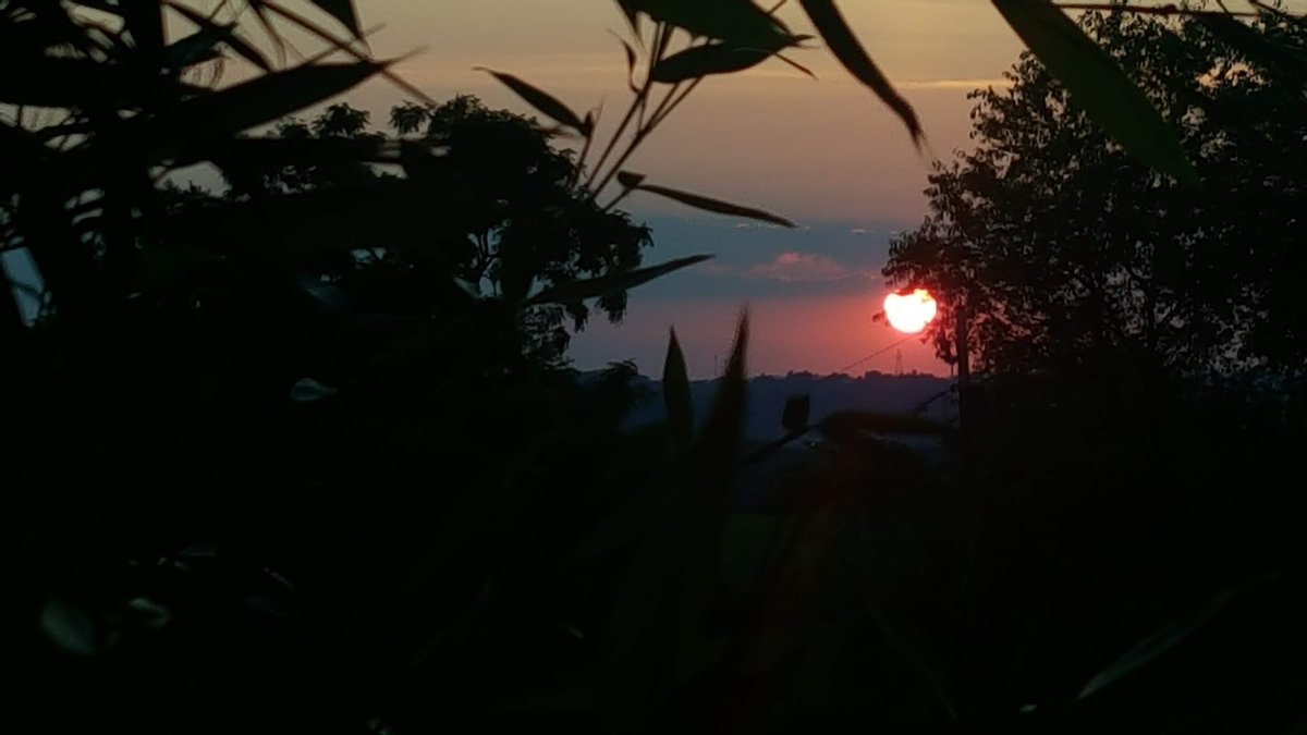 griz1's tweet image. #NonCOVID19 #NonElection thoughts for the day... 2020 #sunsets! Some beauty this year! 
@JuneLake @Inyo_NF @MarinaDelRey_CA @MarinaDelRey311 #BrightmontFarm @CityofWheeling @VeniceBeach_CA @Venice311