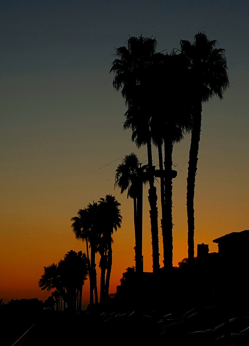 griz1's tweet image. #NonCOVID19 #NonElection thoughts for the day... 2020 #sunsets! Some beauty this year! 
@JuneLake @Inyo_NF @MarinaDelRey_CA @MarinaDelRey311 #BrightmontFarm @CityofWheeling @VeniceBeach_CA @Venice311