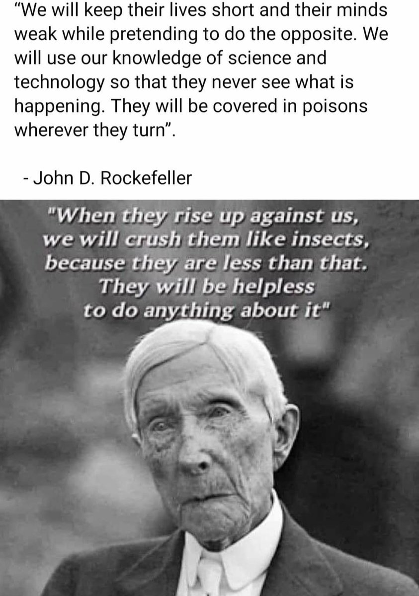 Stacey (@rhinotrinadad1) on Twitter photo 