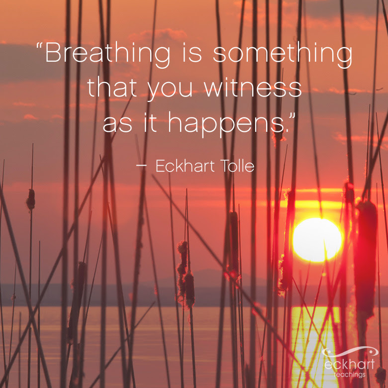 "Breathing is something that you witness as it happens." - Eckhart Tolle