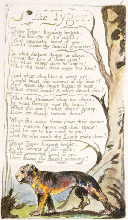 تويتر こぐま على تويتر Devilsenglish Eeny Meeny Miny Moe Catch A Tiger By The Toe If He Hollers Let Him Go Eeny Meeny Miny Moe Lilyさんのツイートでこの曲を思い出しました笑