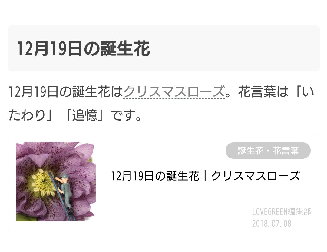 玉ノ瀬緋扇 ゴキブリ大好きvtuber V Twitter 10 12ゼラニウムってのもあった 花言葉 愉快 これだわ