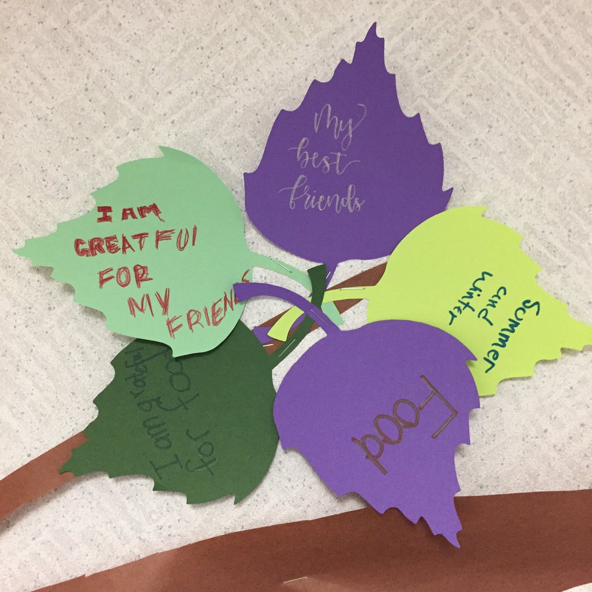 MsPhillipsCMS's tweet photo. 8th grade Tracks students are practicing #30daysofgratitude for the month of November. What are you grateful for? Stay tuned as we fill the tree! https://t.co/HgpS2N1iuc