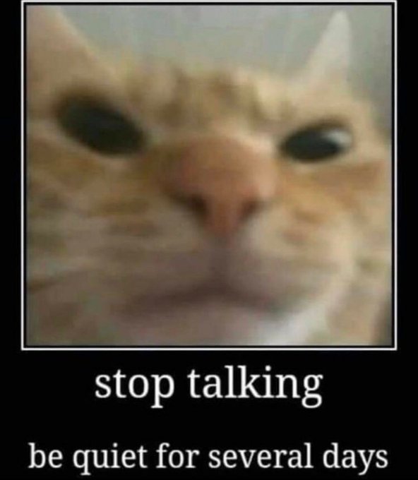 #CHIDOUIN ;  . 

#TSUKIMI ;