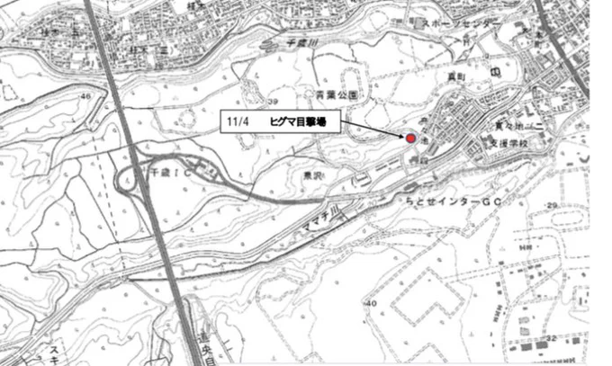 【クマー】千歳インター近く、青葉公園に熊が出たようで。 