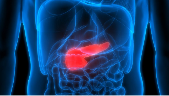 cancer_agency's tweet photo. November is Pancreatic Cancer Awareness Month. Prof John Windsor @AucklandUni notes the importance of Te Aho o Te Kahu work on standardisation of care and treatment for pancreatic cancer. #PancreaticCancerAwarenessMonth #Cancercontrolagency #Cancer
https://t.co/aCMM68xxJR https://t.co/bnmrGkIKHb