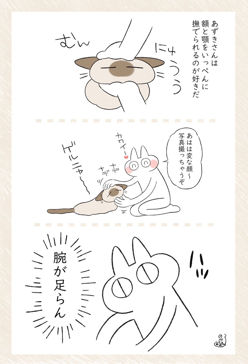 鶴仙人に弟子入りするか… #シャム猫あずきさんは世界の中心 