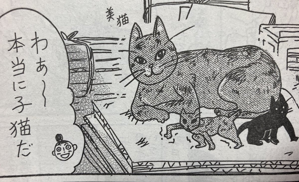 本日発売のモーニング49号に『飼ってない猫』が2話載っております。
魔性の経産婦に振り回される実家の話!どうぞよろしく!!
それはそれとして閻魔さんちのケルベロスは毎週かわいい…。