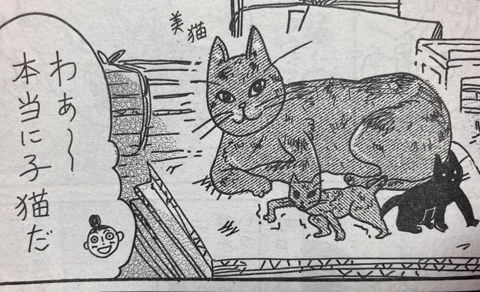 本日発売のモーニング49号に『飼ってない猫』が2話載っております。
魔性の経産婦に振り回される実家の話!どうぞよろしく!!
それはそれとして閻魔さんちのケルベロスは毎週かわいい…。 