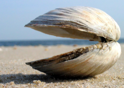 Paresh Shah tweet media