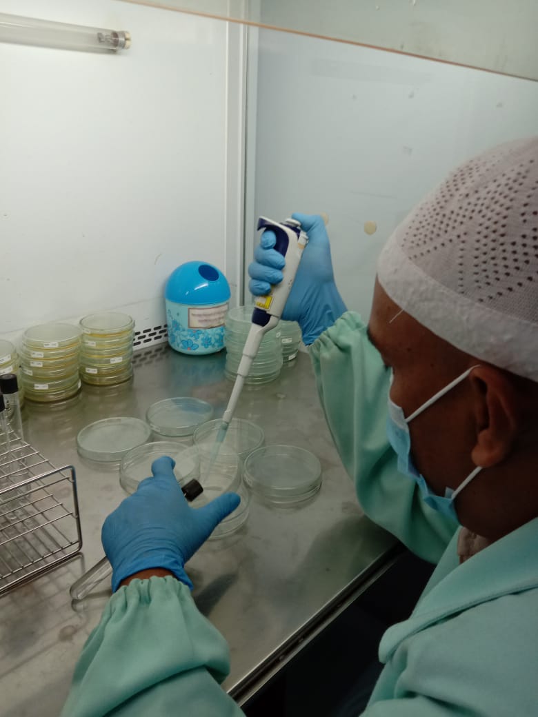 BPPMHKPMakassar's tweet photo. 05/11/2020
Pengujian mutu parameter ALT dgn memipet dari larutan pengencer bertingkat BP buffer 1 ml ke petridist kosong lalu dituangkan media PCA dgn metode tuang pd produk Frozen tuna, cephalopod, pelagic, Demersal dan Frozen shrimp serta Dried sea cucumber
#OneHealthKIPM https://t.co/67BLcSZuIj