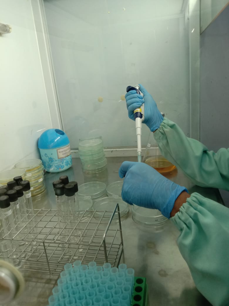 BPPMHKPMakassar's tweet photo. 05/11/2020
Pengujian mutu parameter ALT dgn memipet dari larutan pengencer bertingkat BP buffer 1 ml ke petridist kosong lalu dituangkan media PCA dgn metode tuang pd produk Frozen tuna, cephalopod, pelagic, Demersal dan Frozen shrimp serta Dried sea cucumber
#OneHealthKIPM https://t.co/67BLcSZuIj