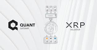 Mrwoody007's tweet photo. Confession: I used to think of #xrparmy like $BTC &amp; $ETH maximalists. But #XRPCommunity recent interaction with $QNT opened my eyes. I found them more open minded, realistic and believers in gradual transformation of Industry contrary to #DeFi shillers! Huge Respect! https://t.co/8nxFsy2FC6