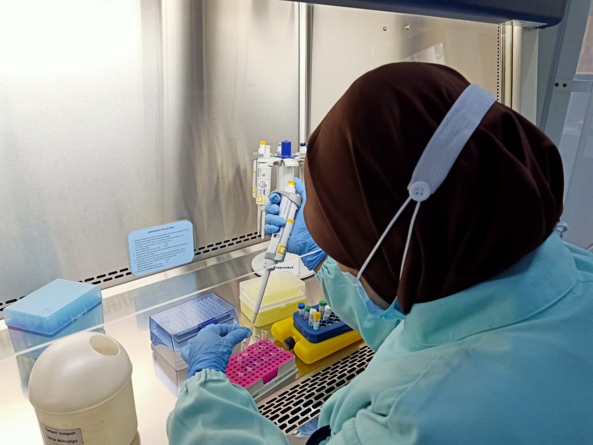 BPPMHKPMakassar's tweet photo. pengujian EHP, pd tahapan proses persiapan master mix first PCR dan nested PCR, dilanjutkan proses elektrophoresis dan dokumentasi hasil/visualisasi produk PCR secara konvensional, dengan target Media Pembawa Benur Udang Vannamei dan Udang Vannamei (05/11/2020).
#OneHealthKIPM https://t.co/3oLh9T6mf4