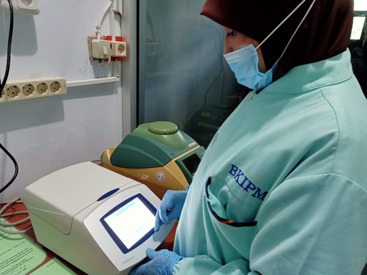 BPPMHKPMakassar's tweet photo. pengujian EHP, pd tahapan proses persiapan master mix first PCR dan nested PCR, dilanjutkan proses elektrophoresis dan dokumentasi hasil/visualisasi produk PCR secara konvensional, dengan target Media Pembawa Benur Udang Vannamei dan Udang Vannamei (05/11/2020).
#OneHealthKIPM https://t.co/3oLh9T6mf4
