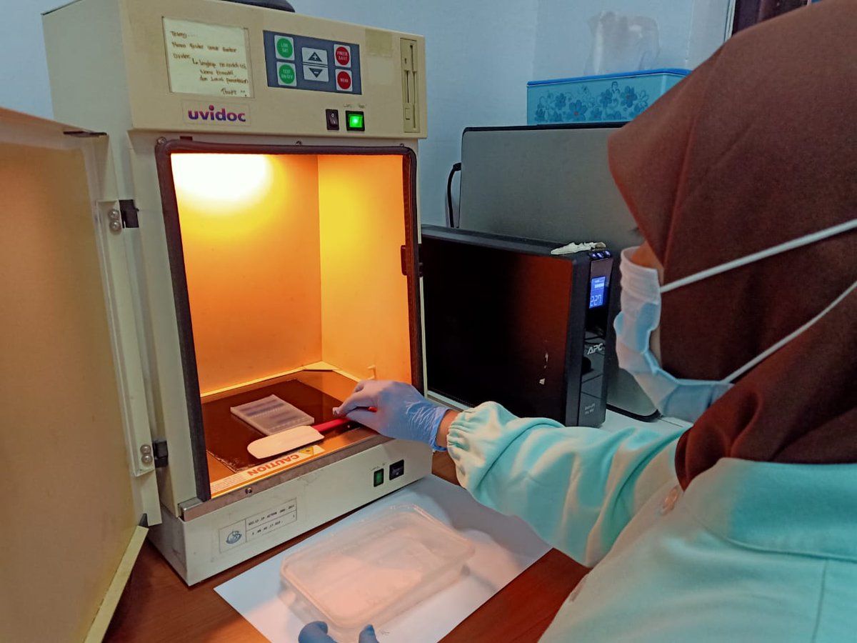 BPPMHKPMakassar's tweet photo. pengujian EHP, pd tahapan proses persiapan master mix first PCR dan nested PCR, dilanjutkan proses elektrophoresis dan dokumentasi hasil/visualisasi produk PCR secara konvensional, dengan target Media Pembawa Benur Udang Vannamei dan Udang Vannamei (05/11/2020).
#OneHealthKIPM https://t.co/3oLh9T6mf4