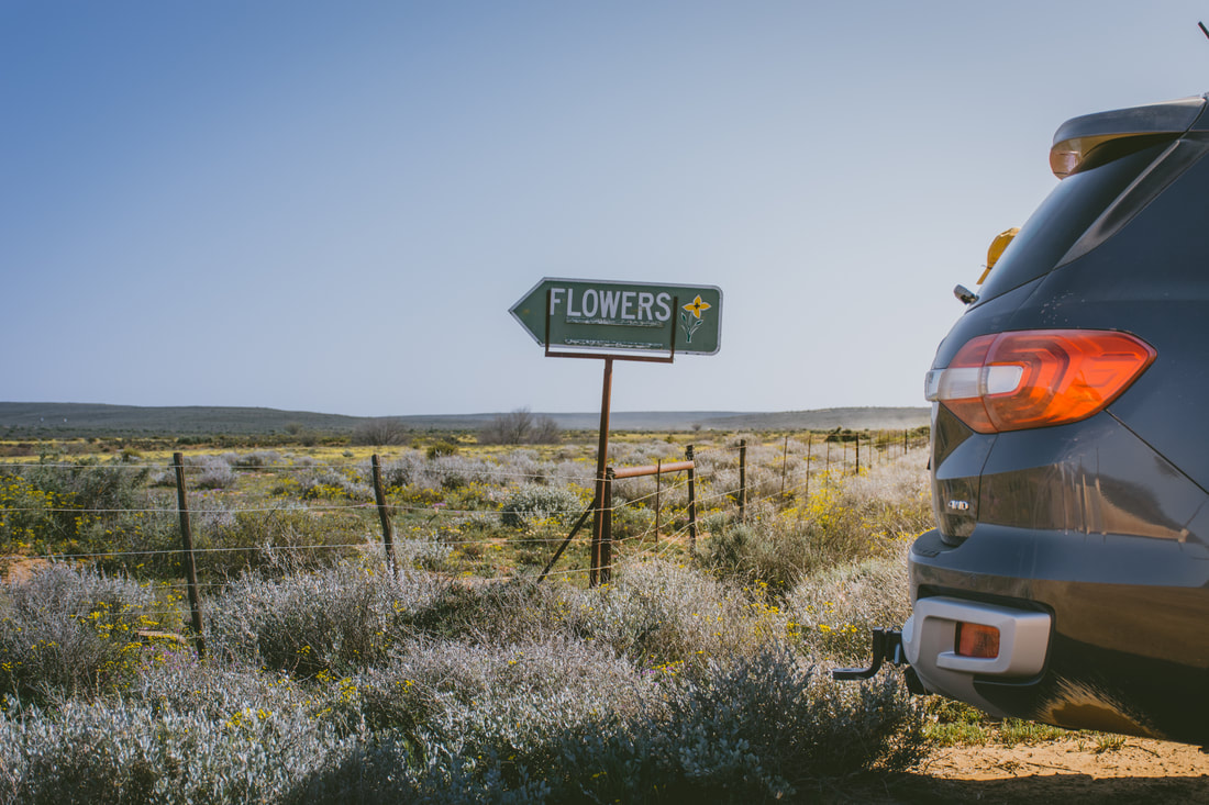 furymotorgroup's tweet photo. @Melanie_vanZyl shares how to navigate #Namaqualand on an unforgettable flower safari in a Ford Everest. 

https://t.co/Jc8sjD2wxY

#fordbuilttough #everest #travel https://t.co/Z8LAW6DQrL