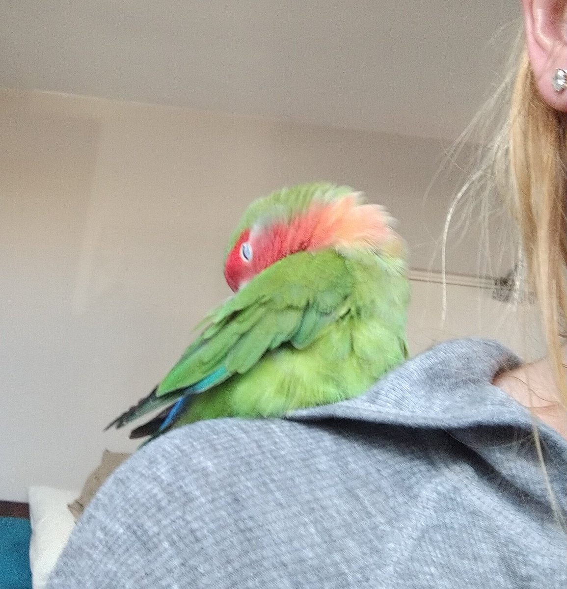 Stepbam (@youology) on Twitter photo 