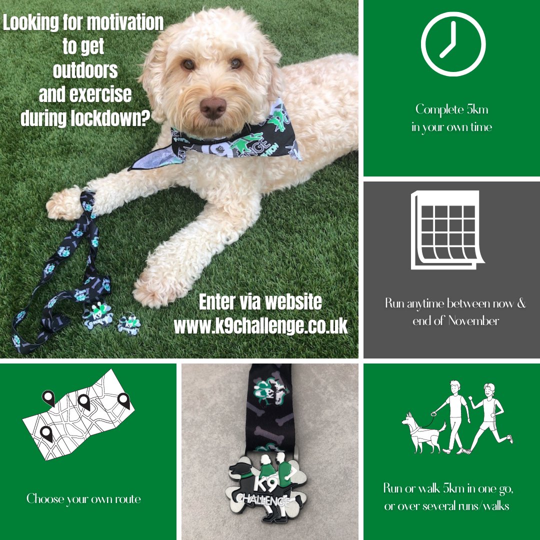 K9challenge1's tweet photo. Looking for motivation to get outdoors during lockdown? We’d love to send out our final few 2020 medals whilst supporting @Raystede who have had to close again. Why not borrow a friend’s dog for a walk? Entries open until end of Nov #Lockdown2 #5kchallenge #charity5k https://t.co/5kXerorkms