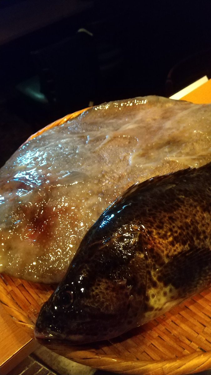 赤坂日本酒 海舟 Kaisyuakasaka Twitter