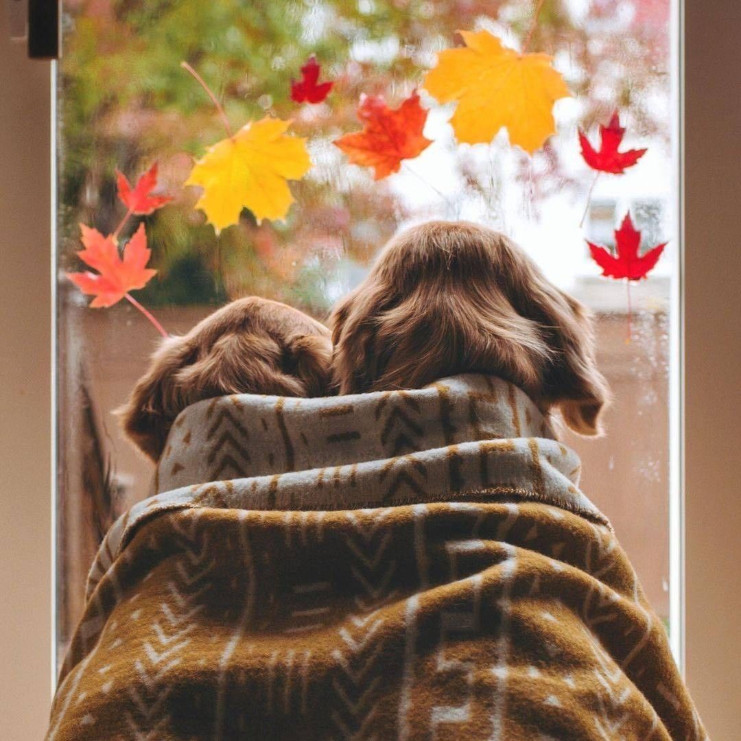 9GAG's tweet photo. I’m FALLing for these colors 🍁

📷 lizzie.bear | IG https://t.co/8Bc4sOTSqh