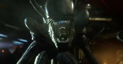 SyntheticXeno's tweet photo. ░J░E░R░I░

"Damage sustained... 
-𝙴𝚛𝚛𝚘𝚛- 
I may be in viola-... violate... in violation of one of my prime di-... die.... directives. Take precautionary measures..."

▪︎■AliensRP 
▪︎■OCFriendly 
▪︎■Friendly Writer 
▪︎■All Types of RP 
▪︎■NSFW18+ https://t.co/Qe0qqh8AGU