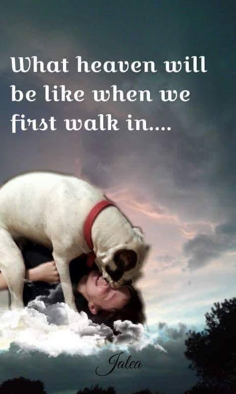 cherryjillybean's tweet photo. https://t.co/O1V71ekKAX