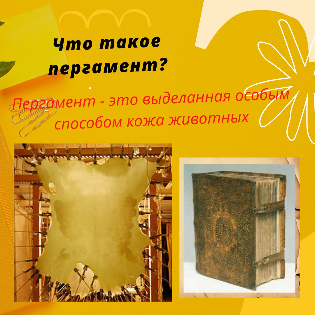 🦉 Ответ на вопрос...