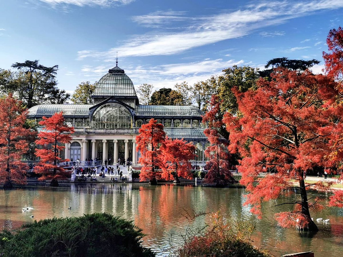 SecretosdeMadrid tweet media