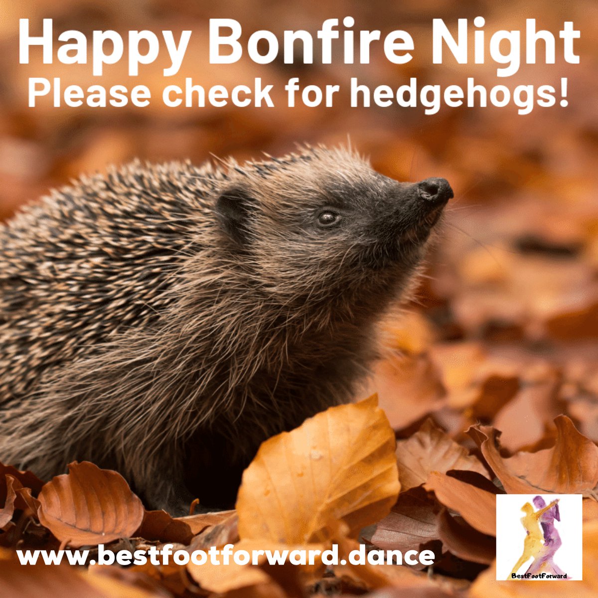 Dancingsimon's tweet photo. #happy #bonfirenight #guyfawkesnight don’t forget, if you have a bonfire in your garden, check for #hedgehogs before lighting &amp; keep your #pets inside. #enjoy the #fireworks #photooftheday #haveagoodday https://t.co/9tFYjtkGKW