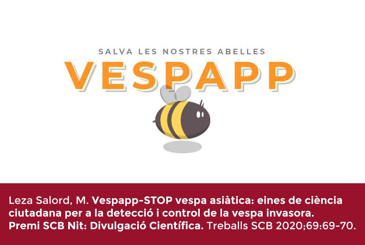 SCB_iec's tweet photo. 📸Més #FlaixosDeCiència a #TreballsSCB69!
'Vespapp-STOP vespa asiàtica: eines de ciència ciutadana per a la detecció i control de la vespa invasora', a càrrec de Mar Leza Salord @Mar_Leza_Salord, Premi SCB Divulgació 2017. #NitBio #PremisSCB
➡️https://t.co/6p1f1XoDUT https://t.co/Z5AP1dNjTG