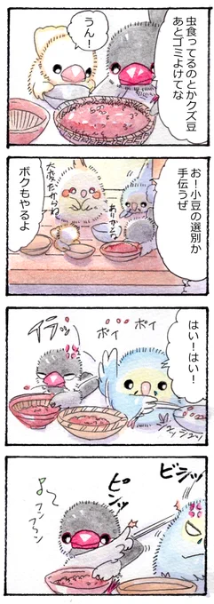 小豆の選別 
#かいどりさん
毛色が違うので悩んだんですが、テスト的にTwitterにアップしてみます。
途中から申し訳ありません、この話も前はブログにアップされています。 