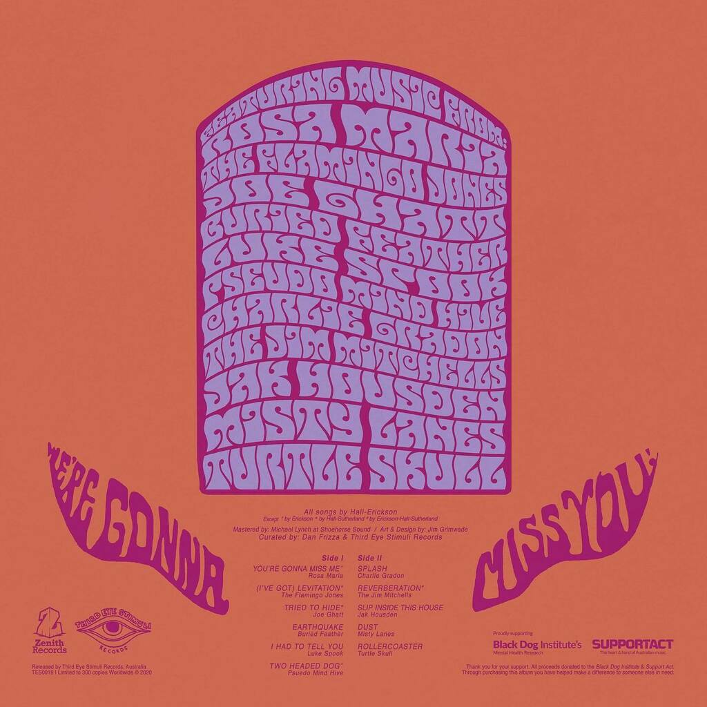 Vinyl pre-orders go live in less than 24 hours! (5pm, Nov 6th aest). Here's the back cover of the 13th Floor Elevators / Roky Erickson tribute compilation that we are contributing a track too!

Profits are going towards two great mental health initiative… instagr.am/p/CHM4lzkB3l7/