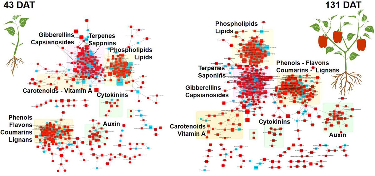 Paolo Bonini tweet media