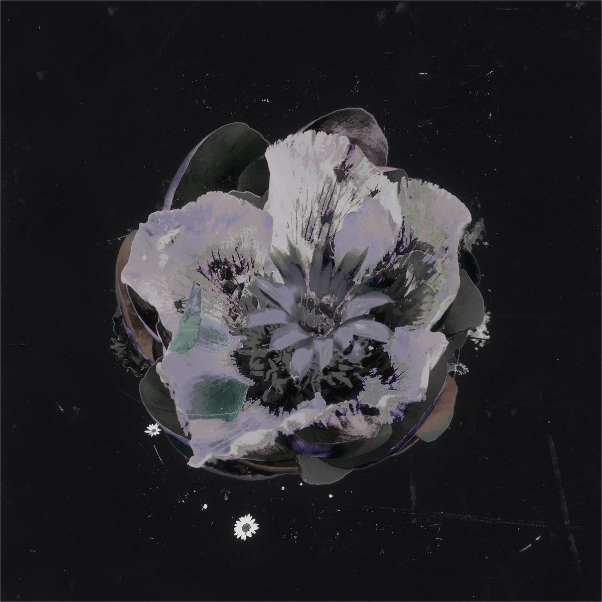 Good news for vinyl lovers. The album is available for pre-order-physical media/digital. You can also listen to the preview here.

Preorder: vk.cc/aBV5d8

Theory Of Cycles - 29/01/21