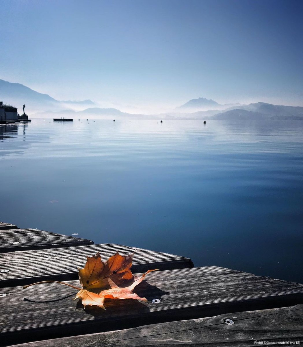 MySwitzerlandNL's tweet photo. Zo simpel, zo prachtig, #herfst! Bedankt voor jullie creatieve #Fanfoto’s #toeaanZwitserland

📍 @fribourgregion, @AdelbodenLenk, @ilovezug https://t.co/I3MltFkFhU
